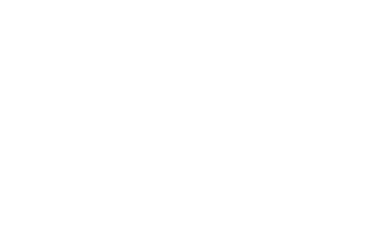 Imatge lateral